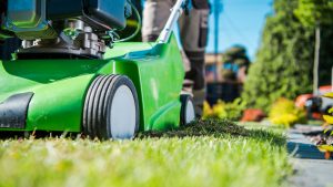green lawnmower cuts grass
