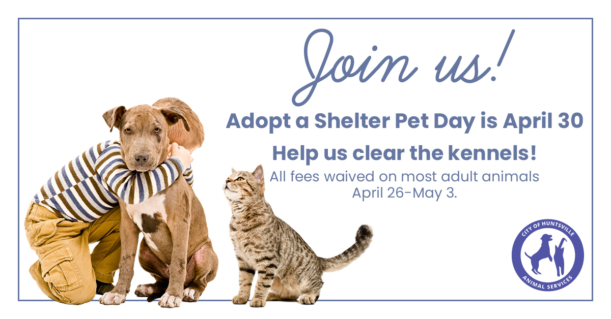 Adopt a Shelter Pet Day Help Huntsville Animal Services clear the