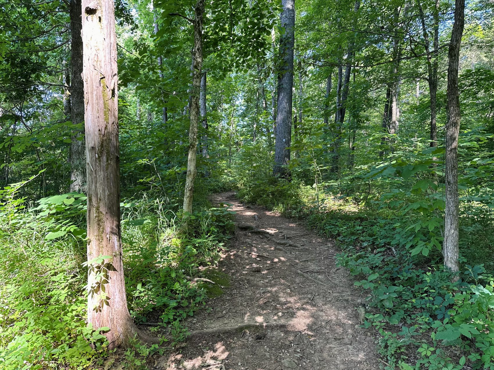 Trails & Greenways - City of Huntsville