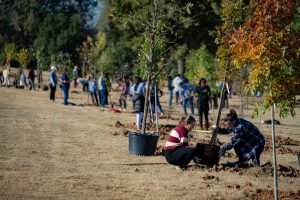 Group of people planting trees in the fall