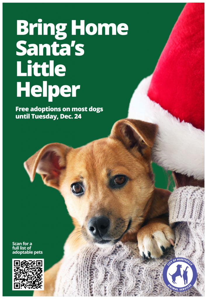 Graphic containing a photo of a person wearing a Santa hat and holding a puppy with the words 