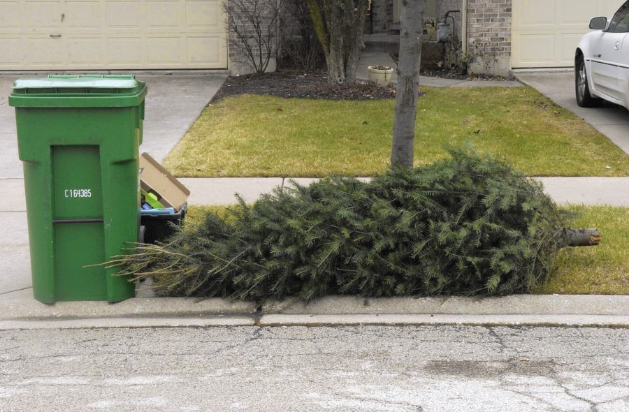 Holiday Trash and Christmas Tree Disposal City of Huntsville